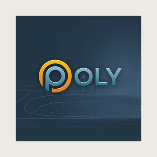 Разработка логотипа для компании «Poly».