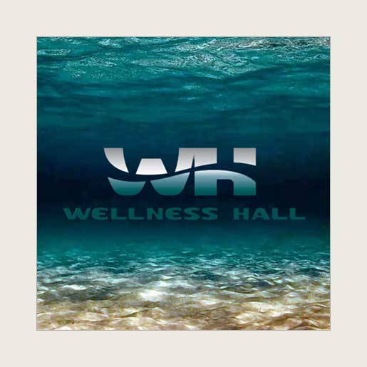 Разработка логотипа для аквафитнес центра «Wellness Hall».